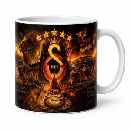 Galatasaray Tek Taçın Sahibi Kupası