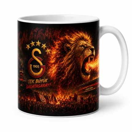 Galatasaray Alevli Aslan Kupası