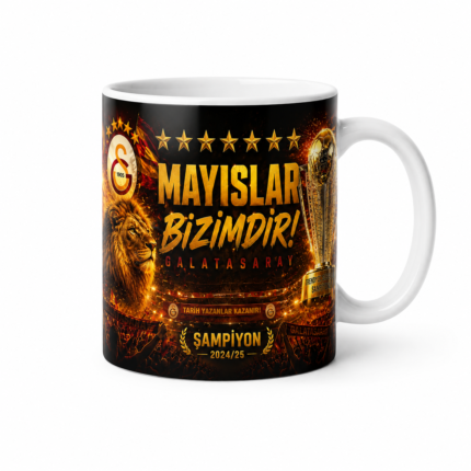 Galatasaray Mayıslar Bizimdir Kupası